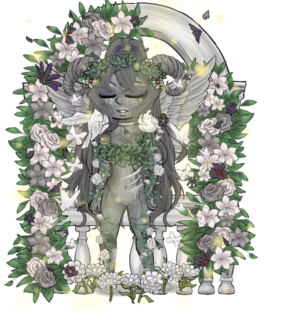 Seed
